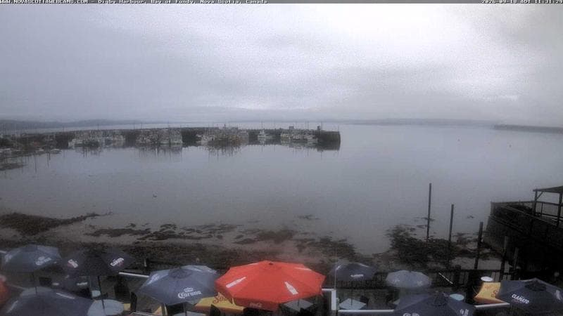 Digby Harbour