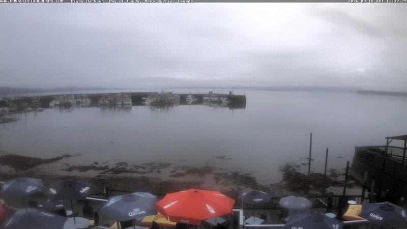 Digby Harbour