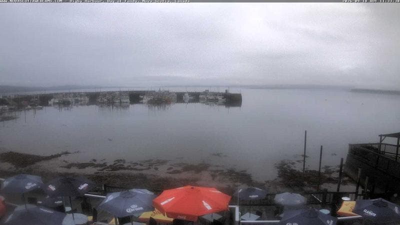 Digby Harbour