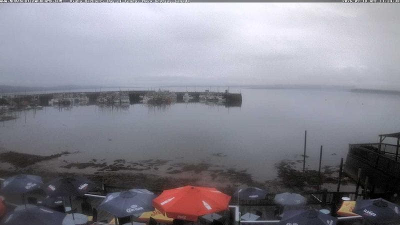 Digby Harbour