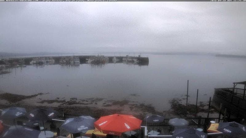 Digby Harbour