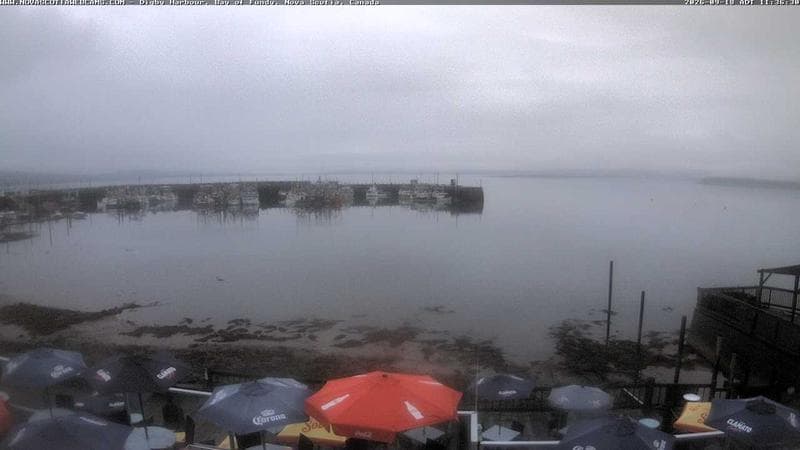 Digby Harbour