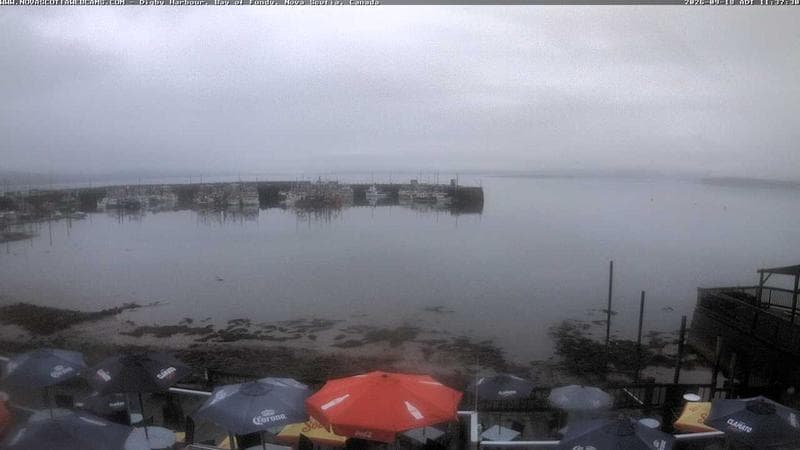 Digby Harbour