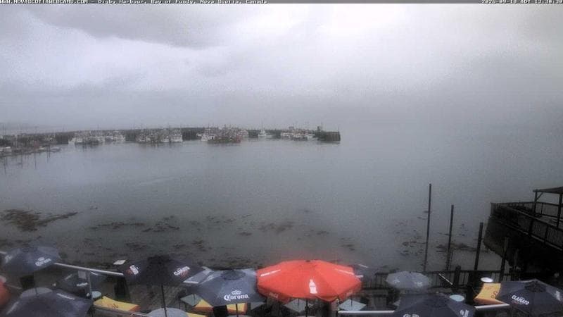 Digby Harbour