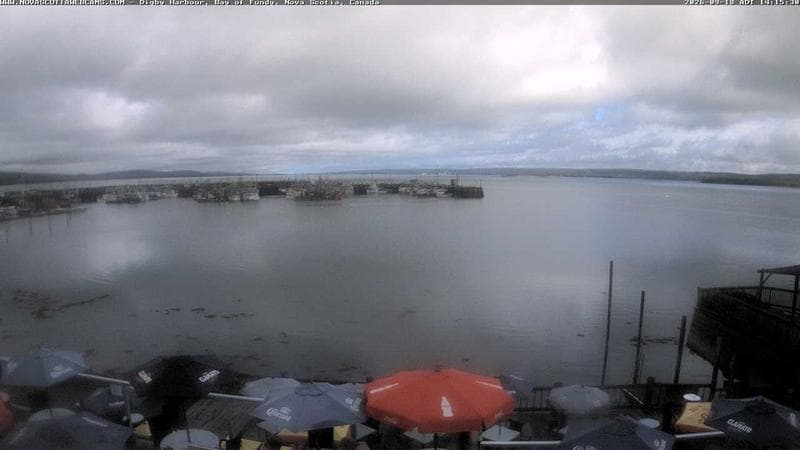 Digby Harbour