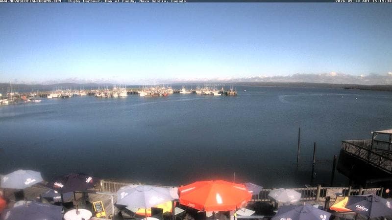Digby Harbour