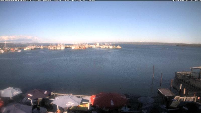 Digby Harbour