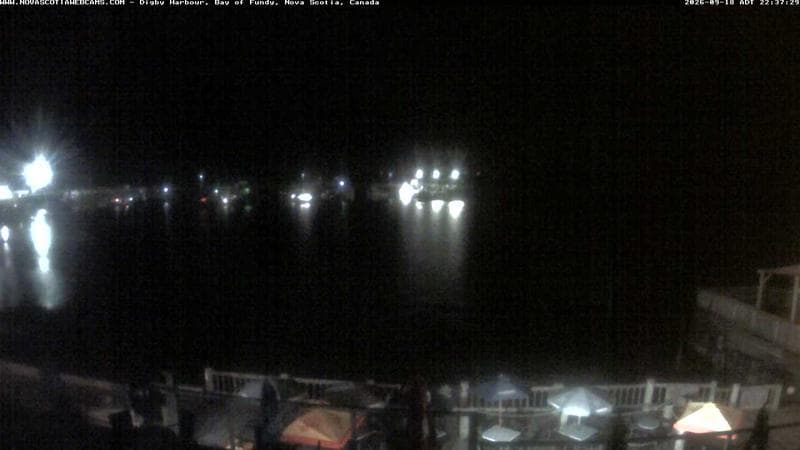 Digby Harbour
