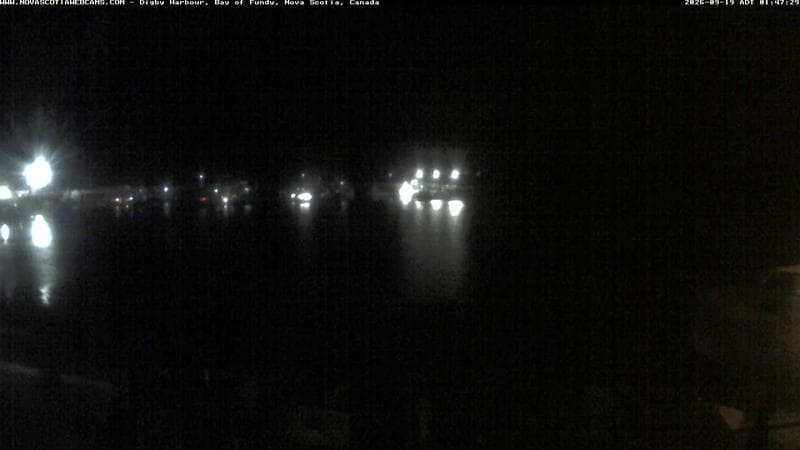 Digby Harbour