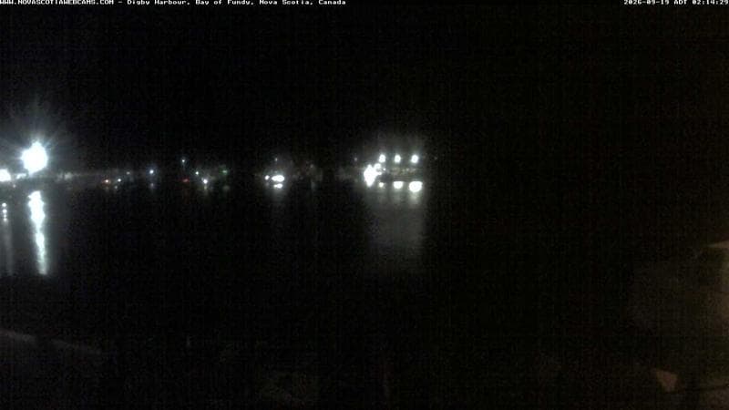 Digby Harbour