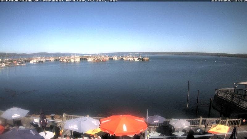 Digby Harbour