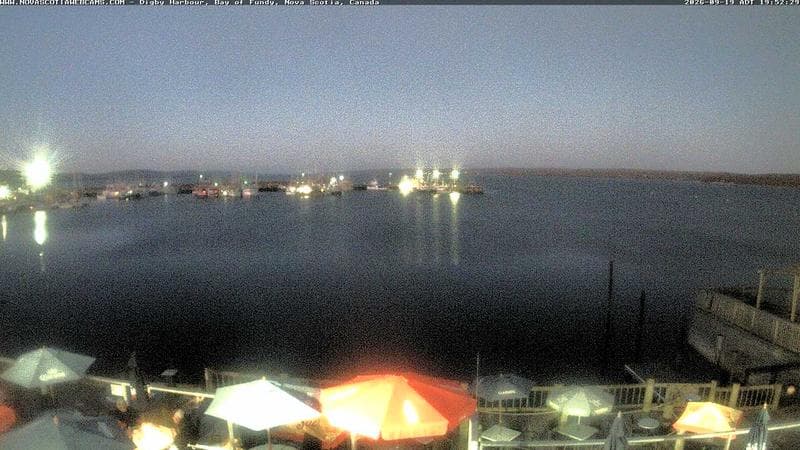 Digby Harbour