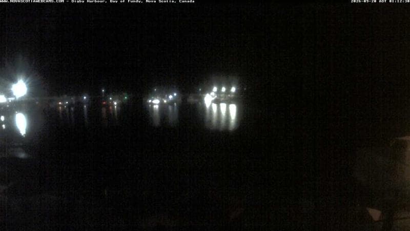 Digby Harbour