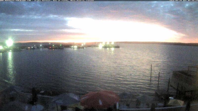Digby Harbour