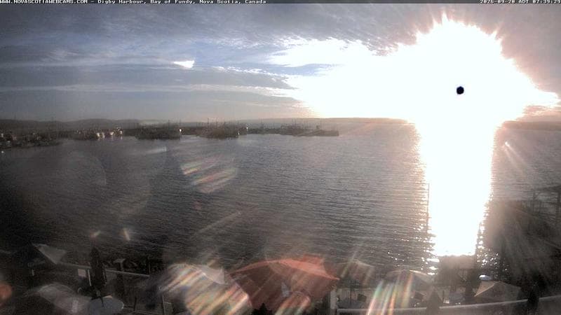 Digby Harbour