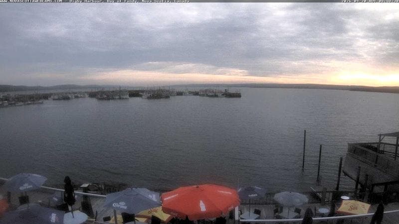 Digby Harbour