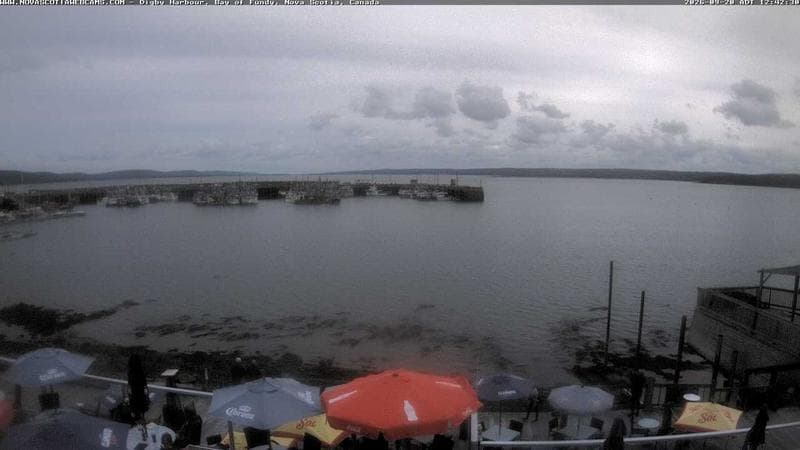 Digby Harbour