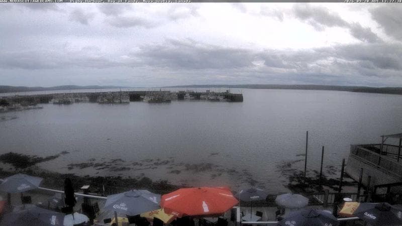 Digby Harbour