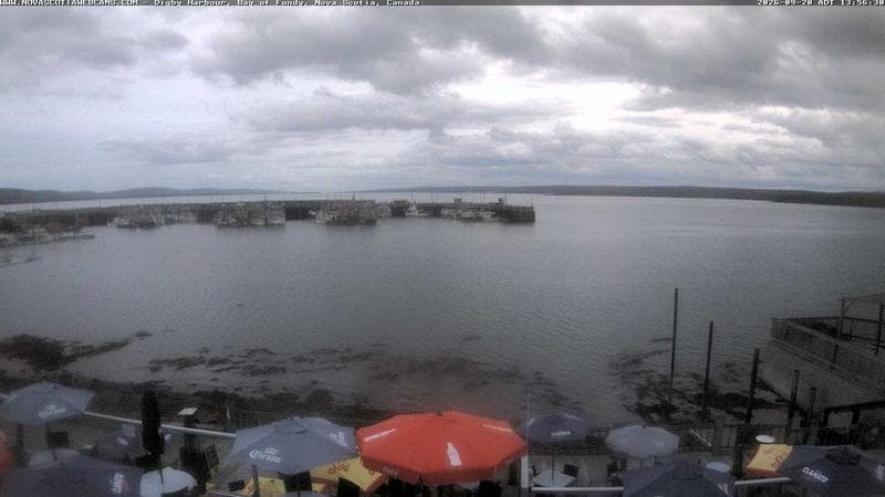 Digby Harbour