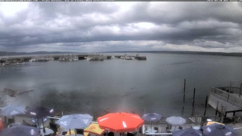 Digby Harbour