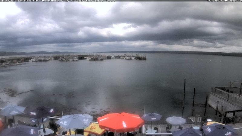 Digby Harbour