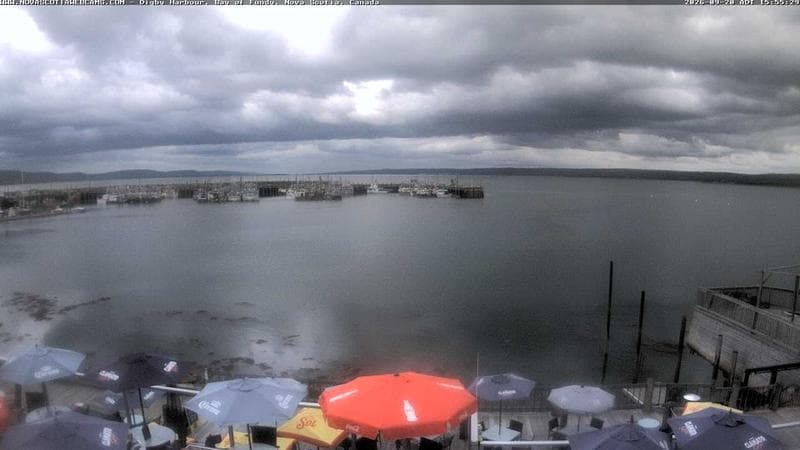 Digby Harbour