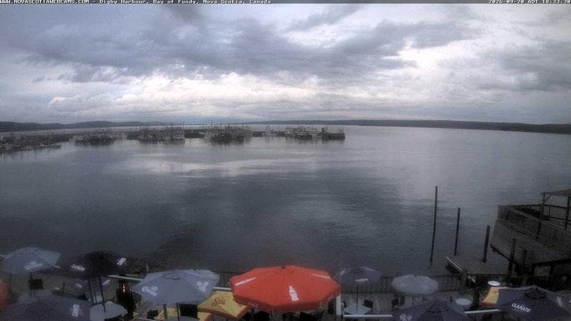 Digby Harbour