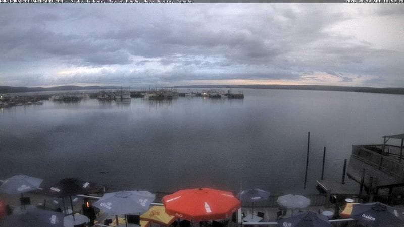 Digby Harbour