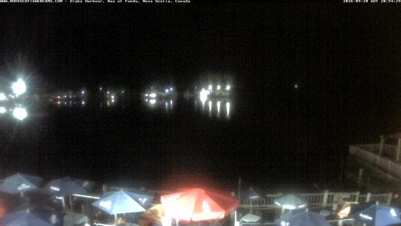 Digby Harbour
