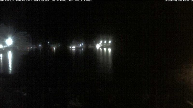 Digby Harbour