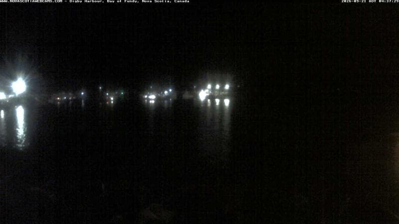 Digby Harbour