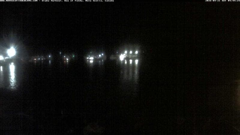 Digby Harbour