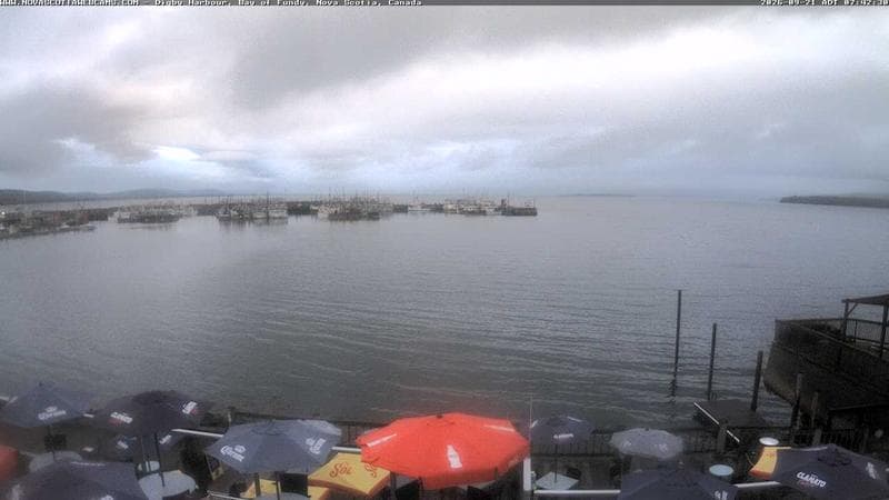 Digby Harbour