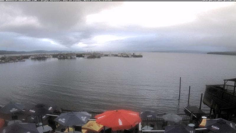Digby Harbour