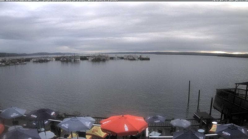 Digby Harbour