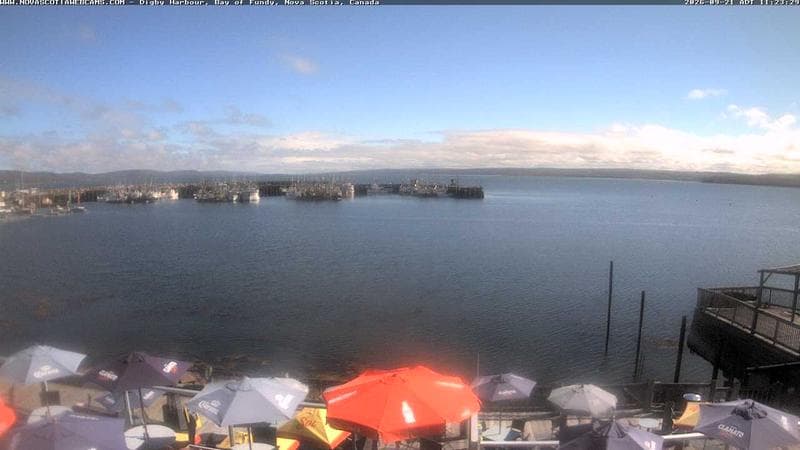 Digby Harbour