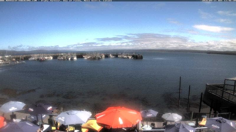 Digby Harbour