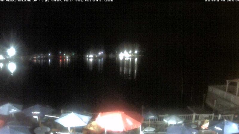 Digby Harbour