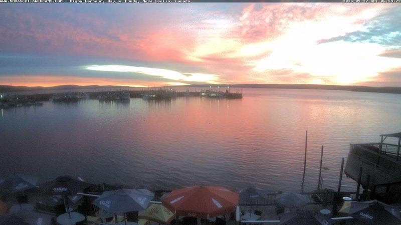Digby Harbour