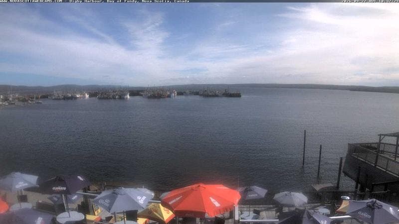 Digby Harbour