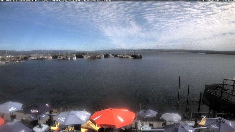 Digby Harbour
