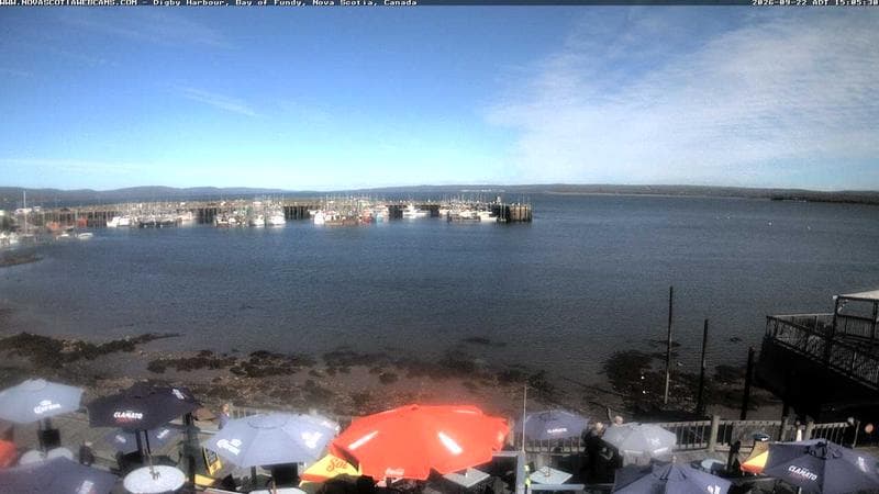 Digby Harbour