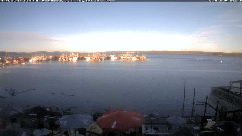Digby Harbour