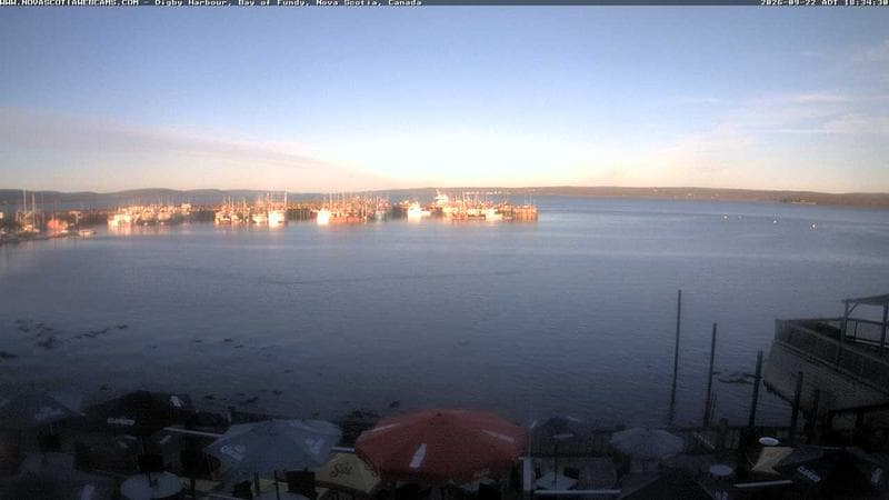 Digby Harbour