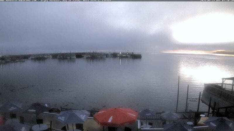 Digby Harbour