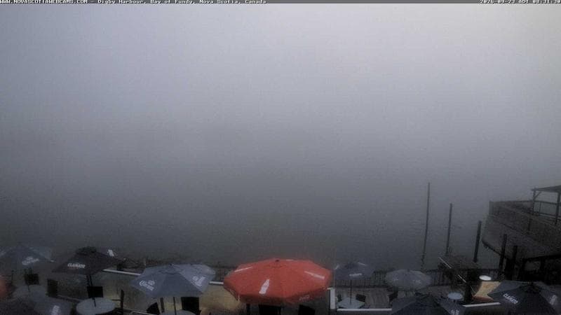 Digby Harbour