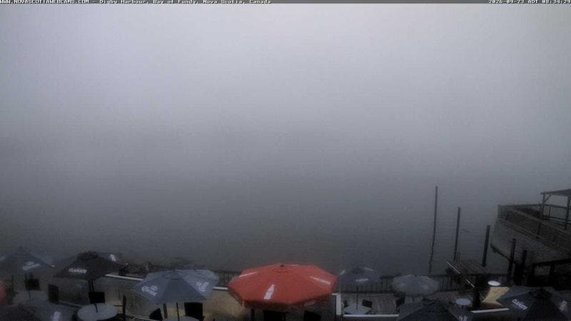Digby Harbour