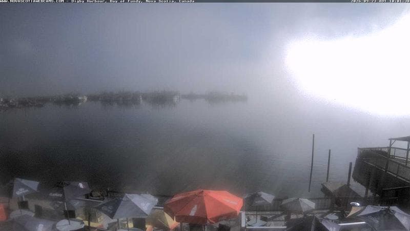 Digby Harbour