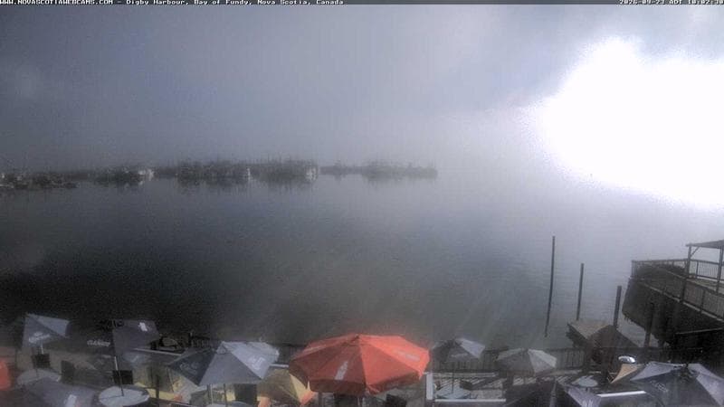 Digby Harbour