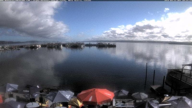 Digby Harbour